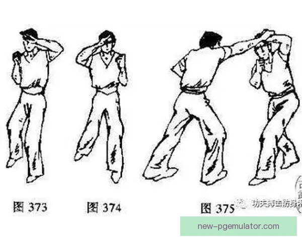 健身对战实战案例解析：从对手策略到优胜策略的全面剖析