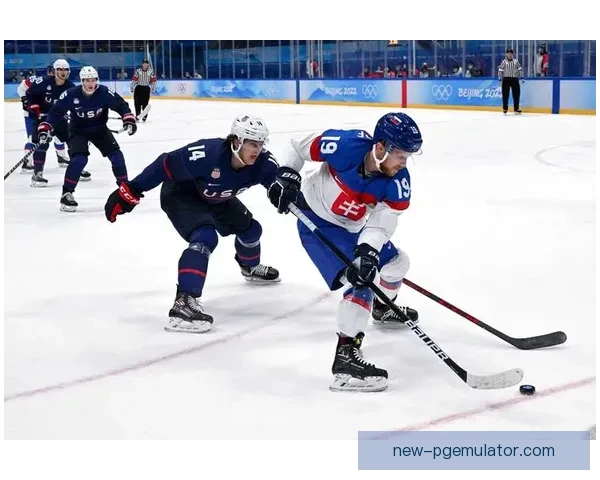 2022冰球赛季全球积分榜最新排名