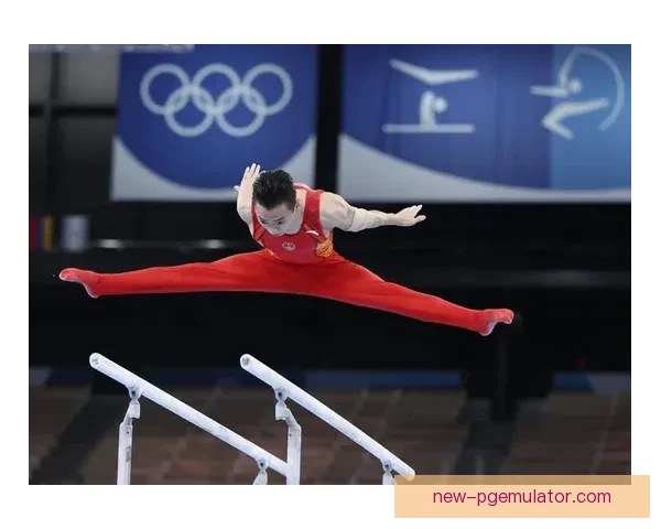 体操冠军：闪耀舞台，勇创辉煌