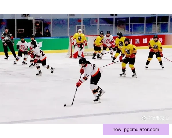 2023冰球赛季精彩赛程全揭秘