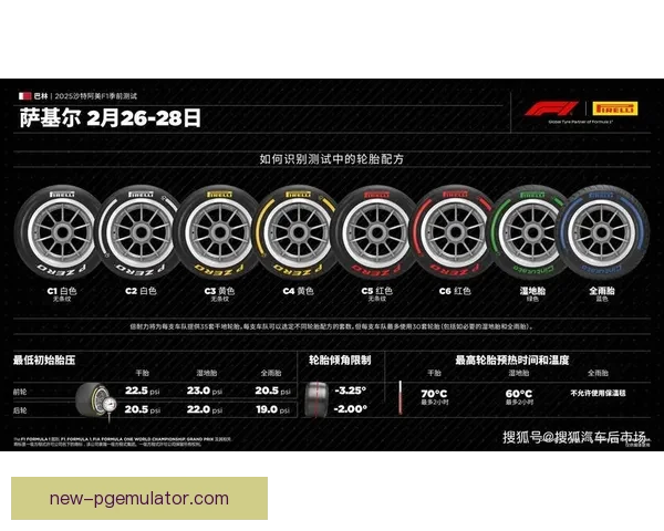 F1新手入门必备：技巧、赛道与车队选择