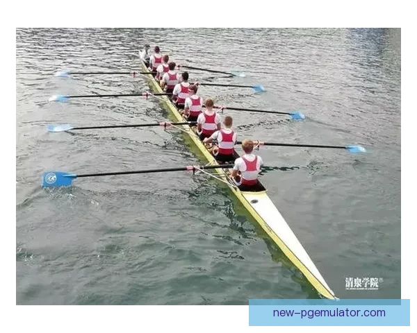 全面解析赛艇赛事预测技巧及战术要点