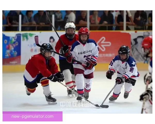 冰球训练新思路：提高技术与体能并重，成就更出色的球员