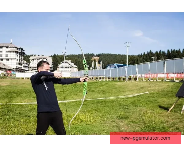 射箭世界纪录：精准射中Bullseye的终极挑战