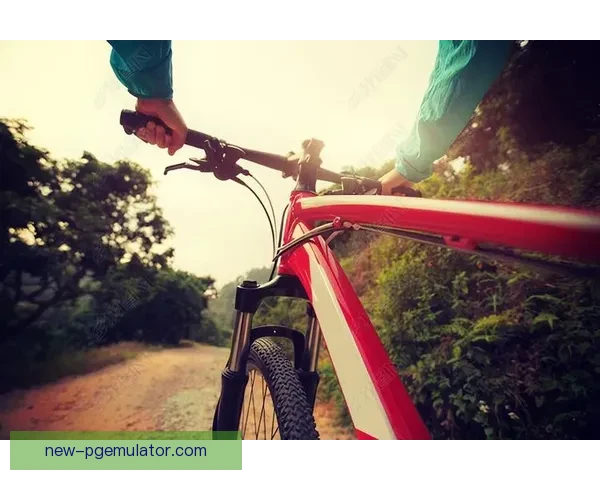 山地自由骑行：探索宽广山野，畅享多彩林间