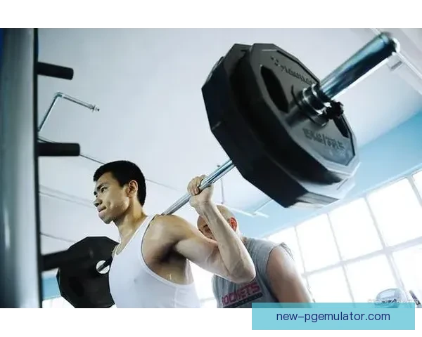 打造完美身材计划：定制专属健身赛程，塑造理想体态