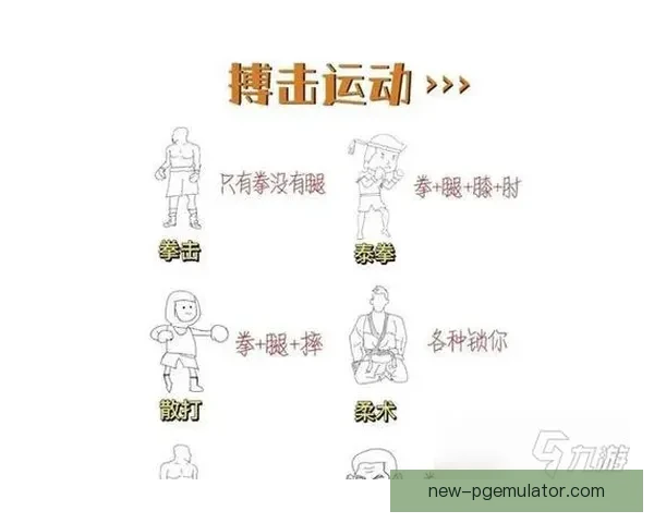 提高拳击技能的有效训练方法总结