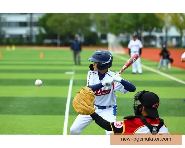 提升棒球技巧，从视频里学起