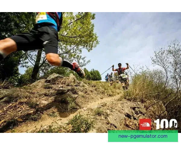 挑战极限，穿越山川：全新越野跑赛事助你探索自然之美