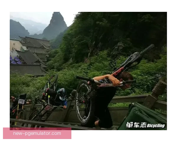 摔跤之王：巅峰对决，谁才是真正的冠军？