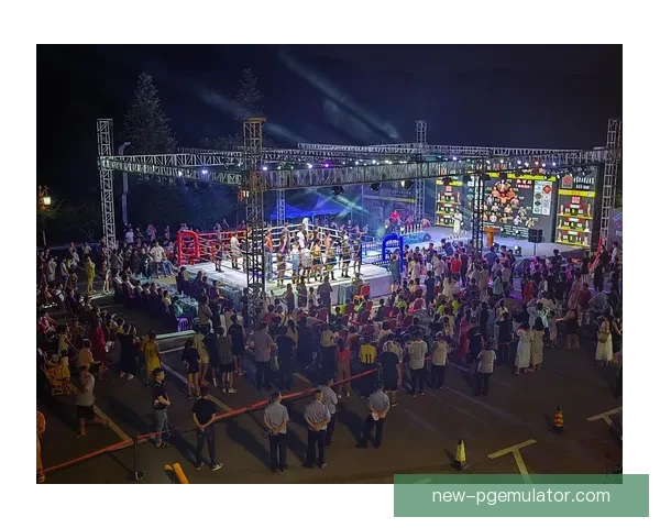 搏击巅峰:挑战者之间的搏斗盛宴 搏击巅峰:挑战者之间的搏斗盛宴