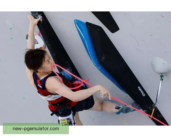 攀岩赛事预测：挑战高峰，胜者为王