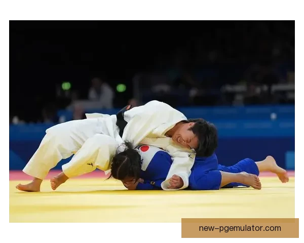 柔道比赛：力与技的鏖战盛会