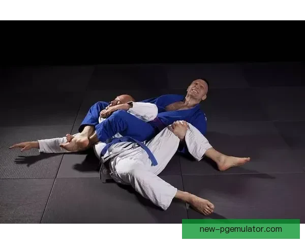 柔道大师分享：提升技巧的秘诀