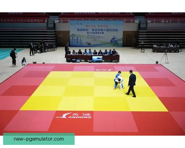 柔道排名：制霸擂台，征服巅峰