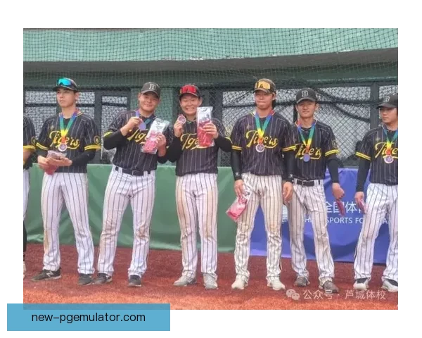 棒球联赛实力榜：球队实力对比，排名分析