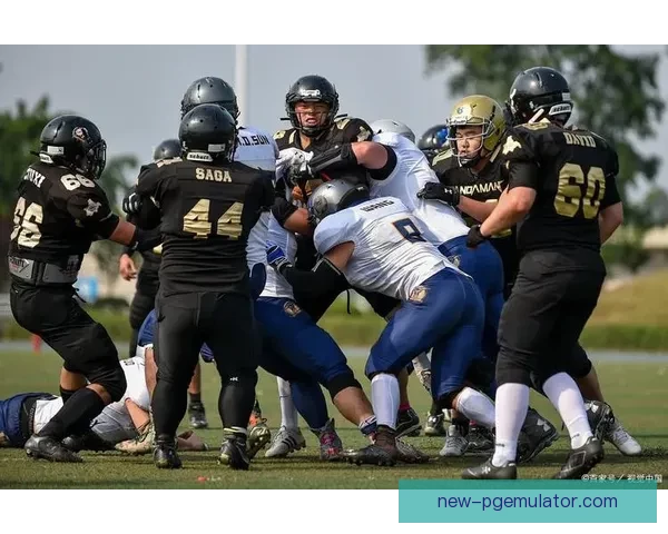 激情回放：橄榄球赛事精彩瞬间盘点