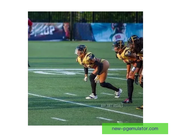 橄榄球盛宴：全方位直播解说赛场精彩