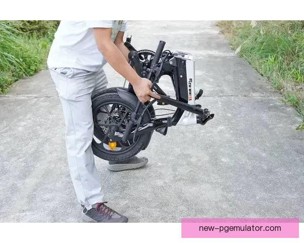 深度解析F1训练方法及其应用实践