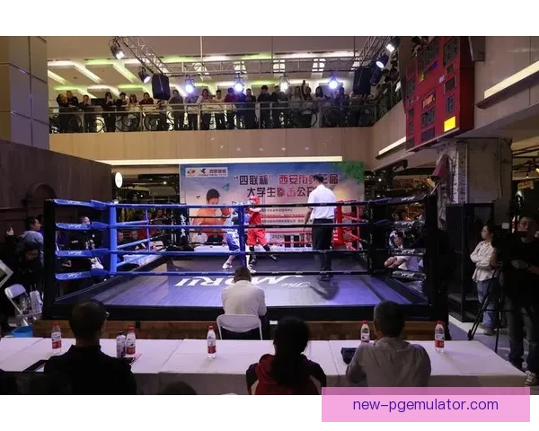 火爆擂台：挑战全明星拳击邀请赛