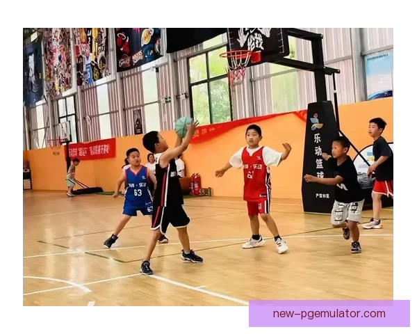 精通篮球规则，助你成为篮球达人