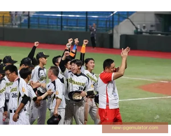 精彩回放：重温激烈对决，感受热血激情