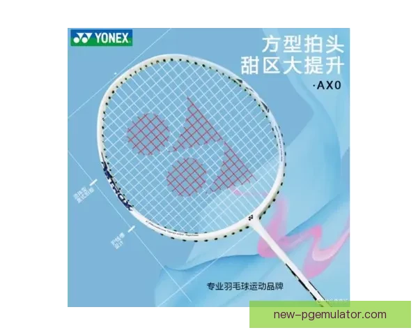 羽毛球数据揭秘：挥拍力量与技术水平的关联分析