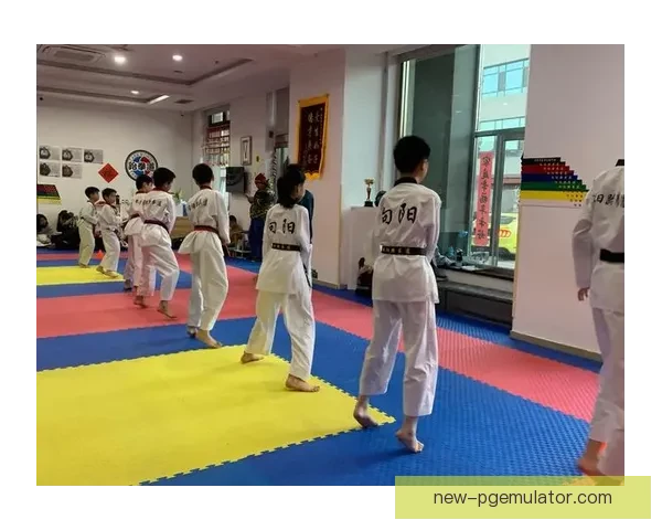 跆拳道训练技巧与实战技能提升探究