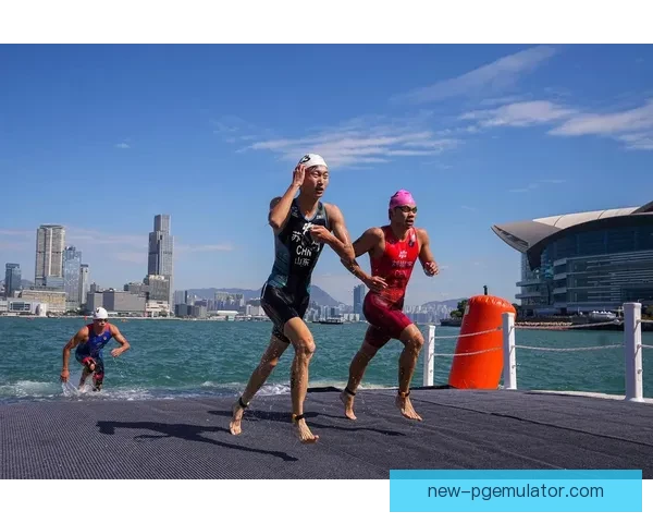 铁人三项竞速丨全面剖析丨新物种震撼登场