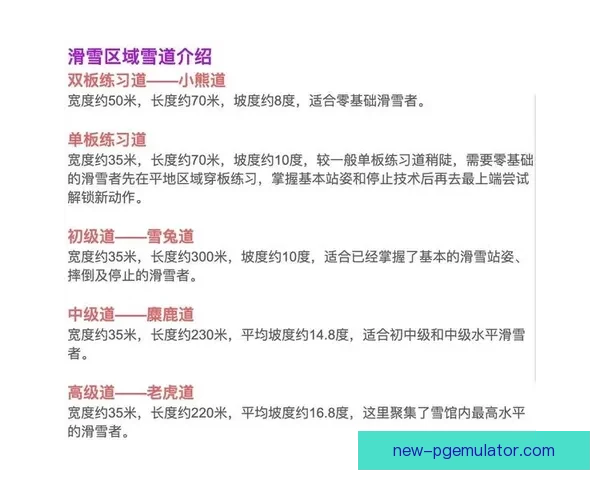 雪场高手：完美滑雪技巧视频教学